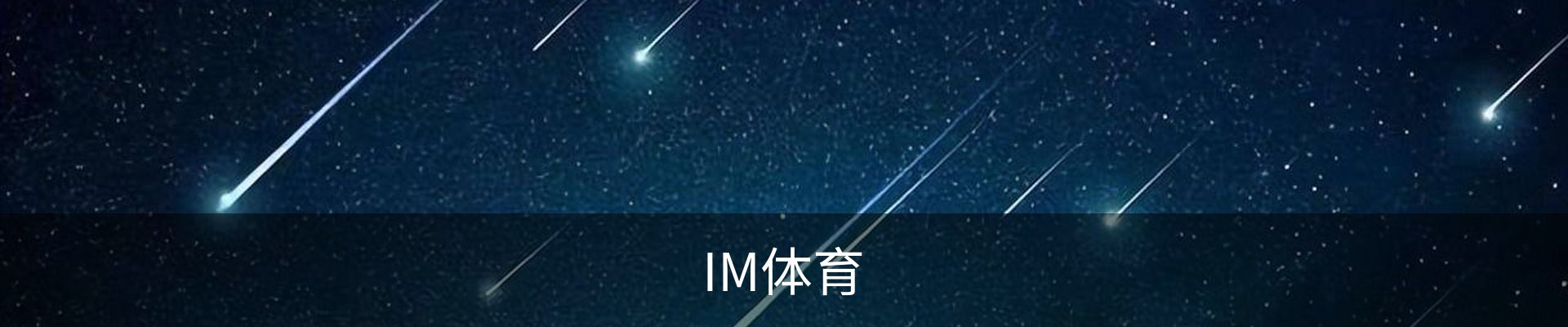 IM体育-IM体育官方网站